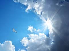 동화의 끝, 그리고···