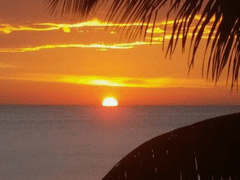 몽상가와 사진가