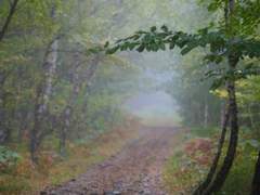 시간에 대한 투철한 인식