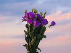 제 1화 . 우리의 첫 만남은