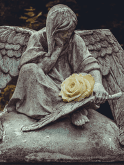 일반 타입 샘플