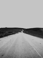 [은혼]호센 지나서 긴토키, 히지카타