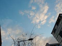 [오키아무] 카페 안에서