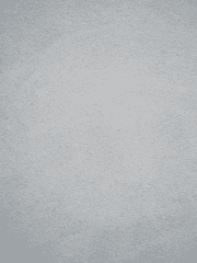 진짜 꿈을 찾아서