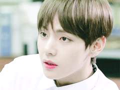 [뷔국] 꽃무릇 (03)