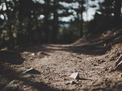 일어나지 않은 만남