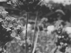 [청려문대] 엋문 역키잡 수인물(2)