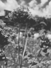 엋문 역키잡 수인물