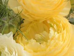 우리 동네 꽃집에는 사랑을 팔아요_22