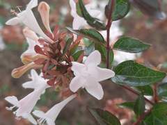 9살이 내는 아빠의 전입 시험 대비 문제