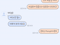 안드로이드 카카오톡 테마 - 하늘 살구 콩