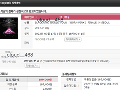 블랙핑크 콘서트 (2)