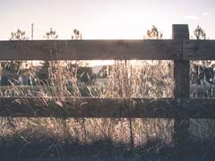 이곳은, 이제 무어라 불러야 하나요.