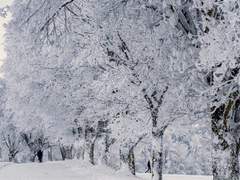 세상에서 제일 싫은 당신에게.