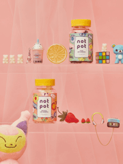 필자의 유학만담