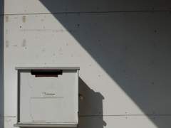 X에게 보낸 편지