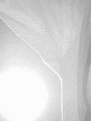 또라이야 순애야. 