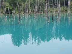 [DAY 139, 140] 홋카이도 여행