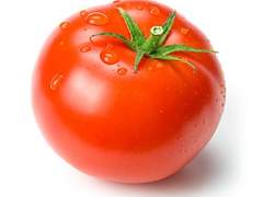 [ 🍅 ] 토마토 비밀기지