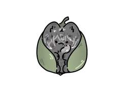 개미입에 다시 쪄 온 망개떡 너어줘요