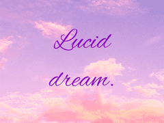 루시드 드림