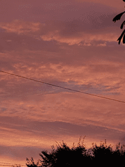 나의 오랜 원수