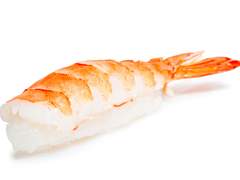 에비 하지메/XX/초새우초밥