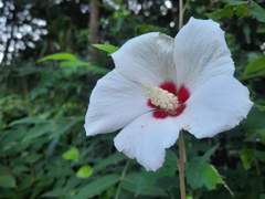 아들이 골든벨 예상문제를 적중(?)했다