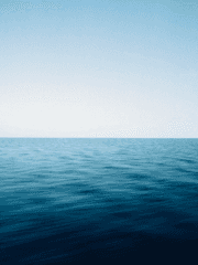 내스급_현제유진