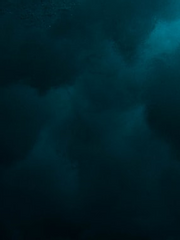 20세기 소년 웹발행