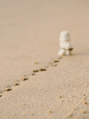 나 싫어하기 작전!