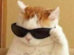 보드 소녀의 사랑을 찾아서 1