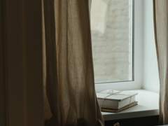 [포켓몬 SV] 반쪽 세상