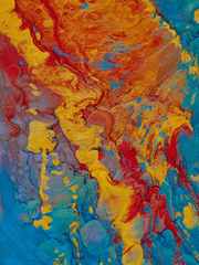 어항은 네모, 인어는 사냥을 원한다