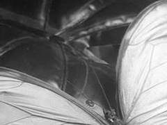 부디 나의 불안을 해소시켜 주시길.