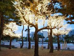 부부 공무원이 탄생했다, 그런데