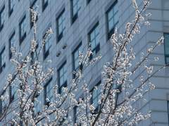 [직장 생활] 상사가 나를 싫어했던 이유는 내가 먼저 싫어했기 때문이었다