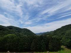 이번엔 내가 공무원 그만 둔다, 그런데 결사반대한다고?