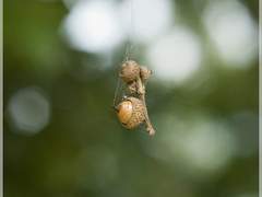 [글쓰기] 비겁 과다에게 식상, 글쓰기란
