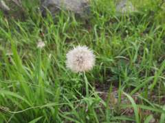 국가직 공무원을 그만두고 남편이 했던 거짓말