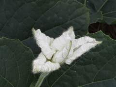 공무원 되려고 '공무원을 그만두고', 다시 공시생이 된 남편