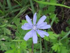 무례한 민원인에게 꼭 웃으면서 대할 필요는 없잖아요?