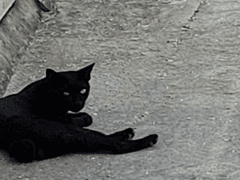 엘리베이터 안 취급주의 외계인(1)