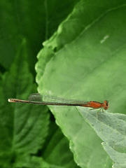 그날, 면사무소 공무원에게 무슨 일이 있었나