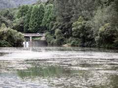 [글쓰기] 작가, 글쓰기에 적합한 사주란