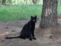 당장 만나고 싶어 안달난 남자, 농한기만 기다리는 여자