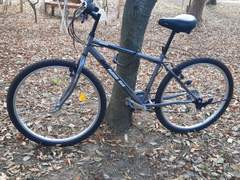 남의 편아! 그건 니 생각이고!!!