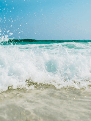 와다츠미 치카제