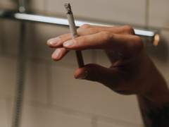 대진준기. 비늘