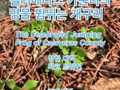 [번역] 캘러베라스 카운티의 명물 뜀뛰는 개구리 (The Celebrated Jumping Frog of Calaveras County)/마크 트웨인